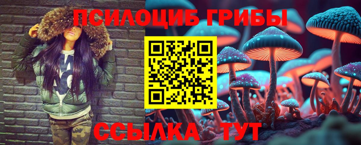 Псилоцибиновые грибы MAGIC MUSHROOMS  Вход с VPN  Кимовск 